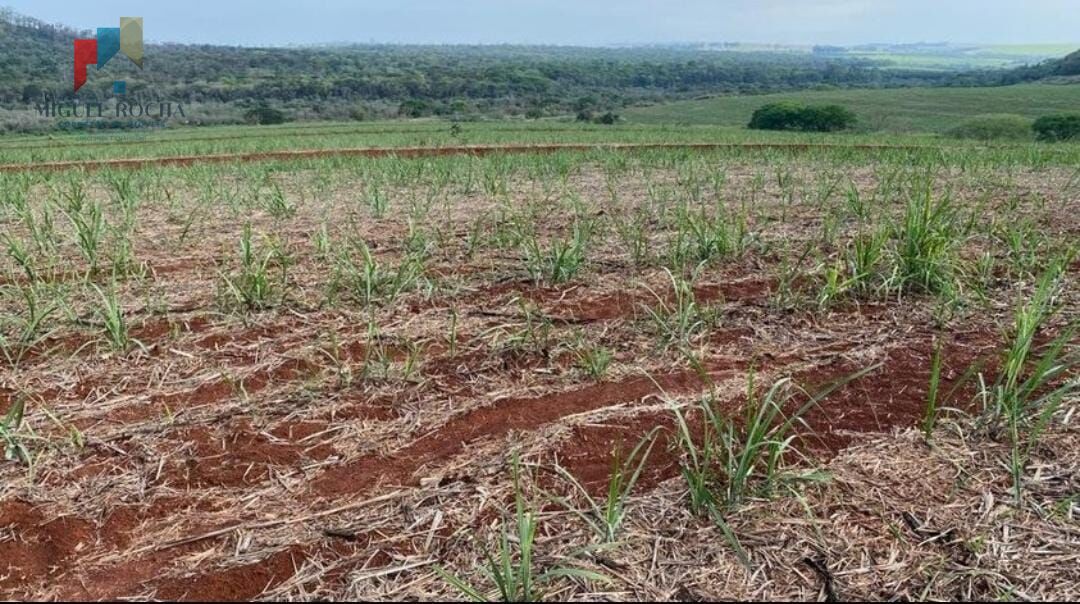 Fazenda a venda São Carlos SP