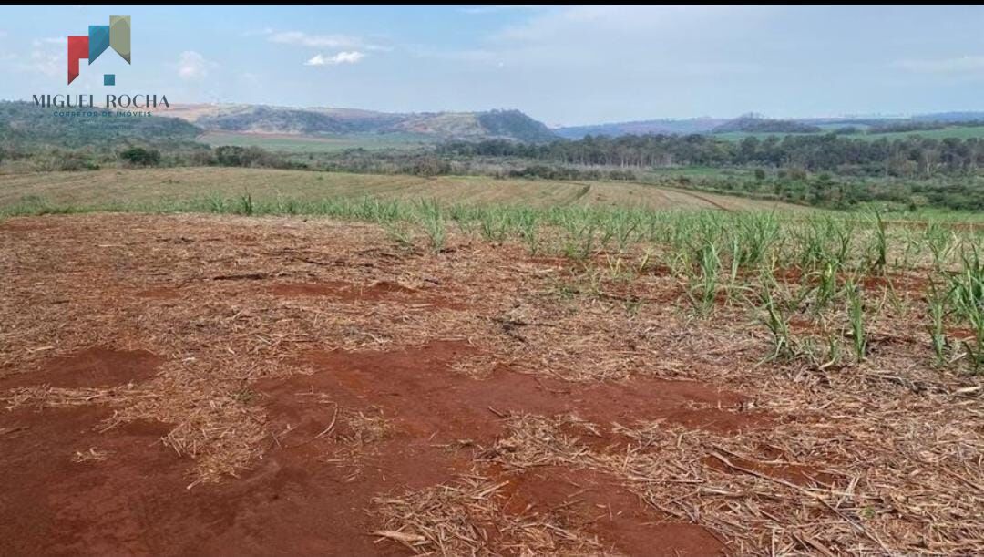 Fazenda a venda São Carlos SP