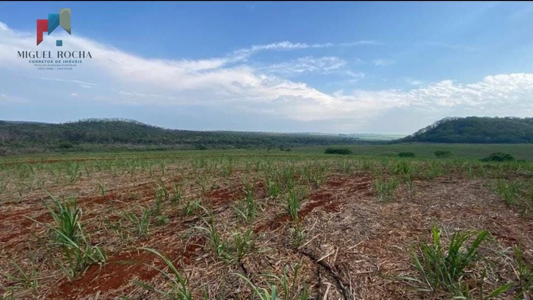 Fazenda a venda São Carlos SP