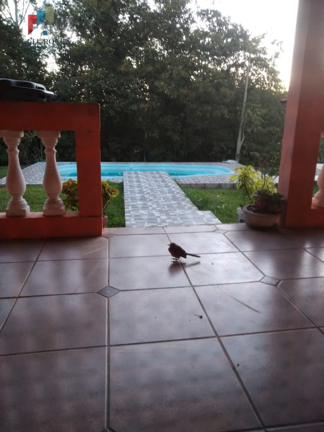 Chácara a venda ou permuta Torre de Pedra SP - foto 1