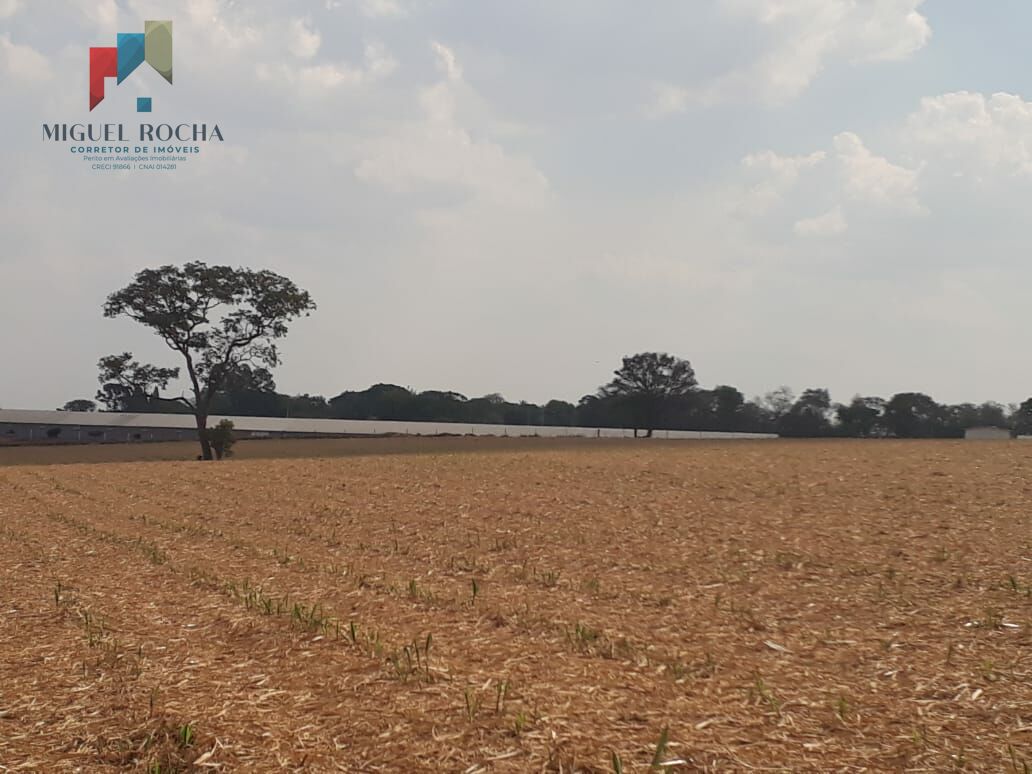Sítio a venda Cesário Lange SP - foto 5