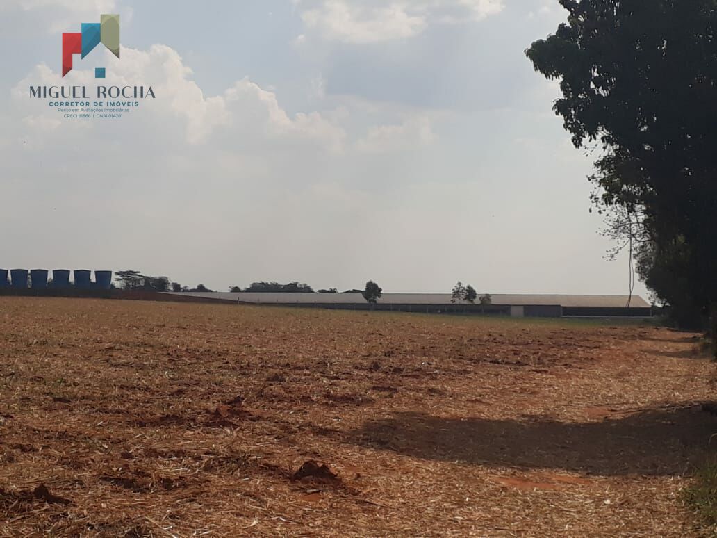 Sítio a venda Cesário Lange SP - foto 3