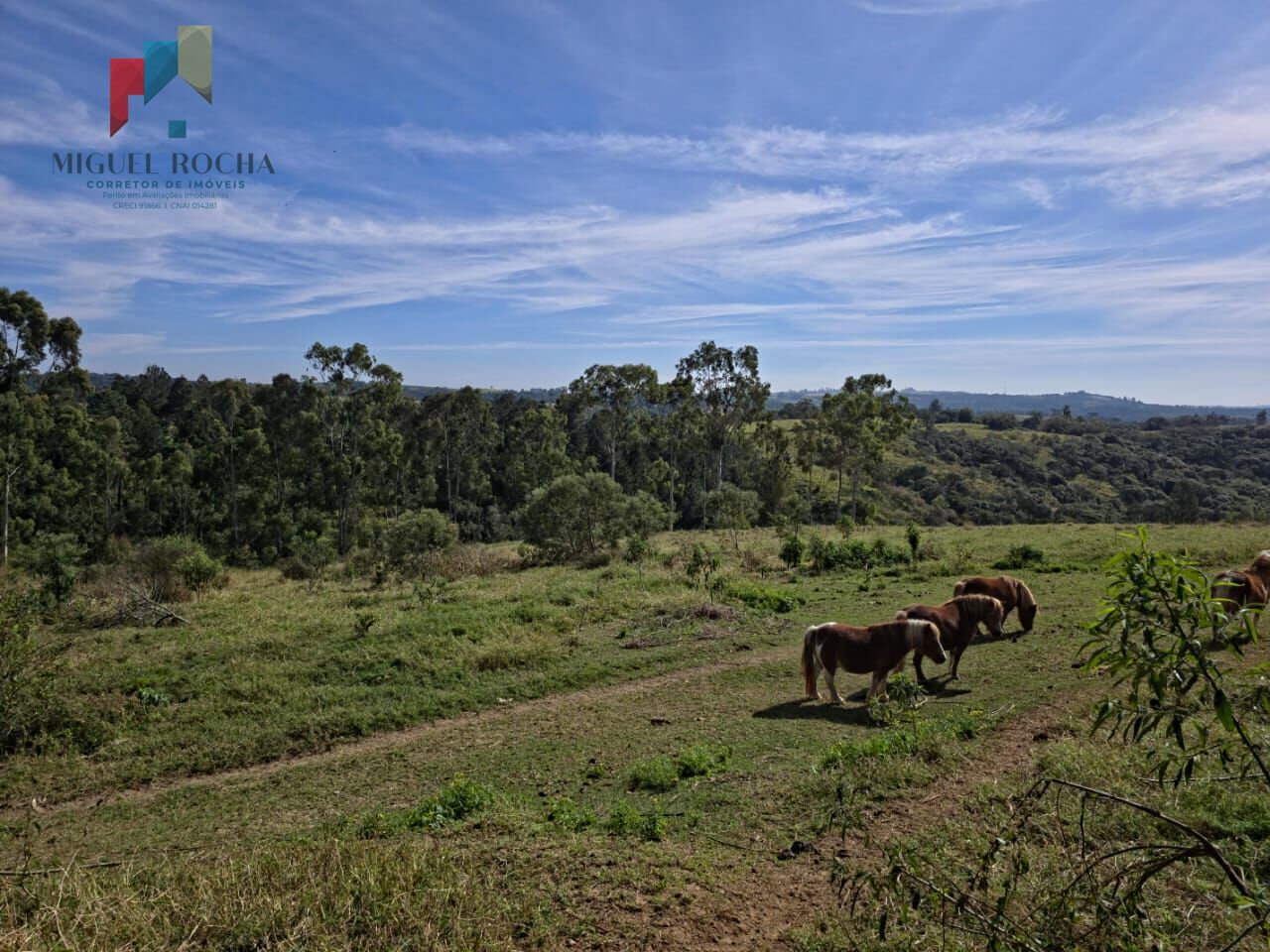 Sítio em Itapetininga SP - foto 36