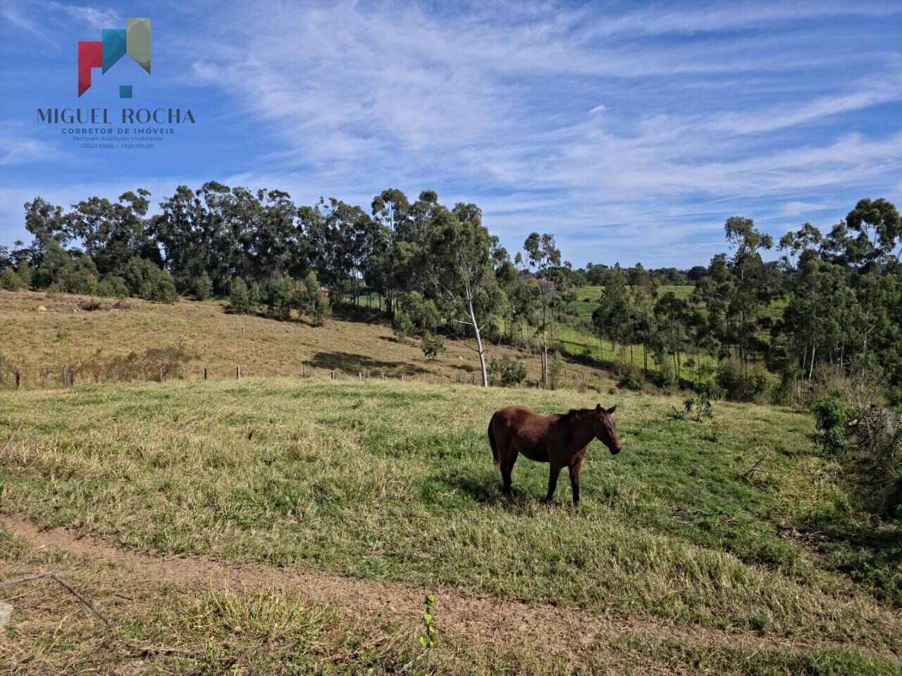 Sítio em Itapetininga SP - foto 7