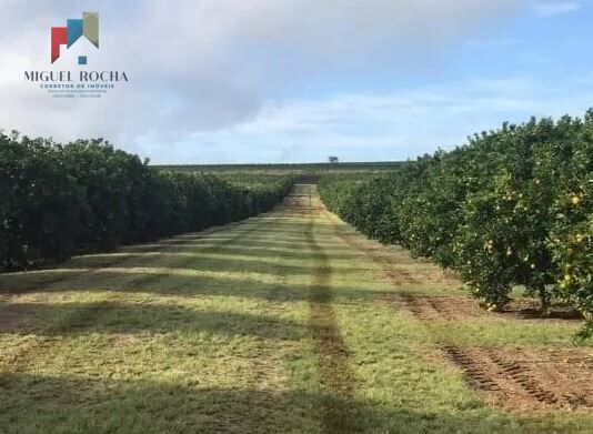 Fazenda Região de Marilia SP