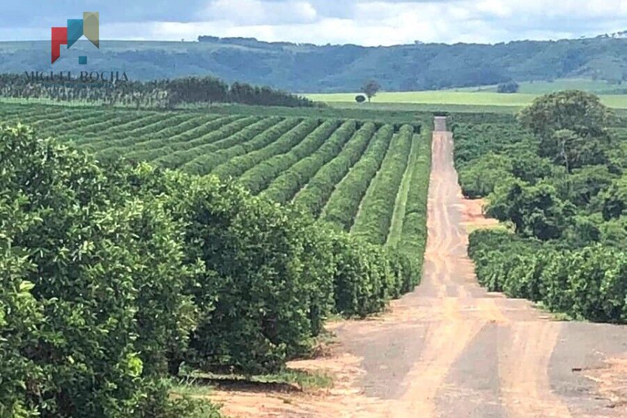 Fazenda Região de Marilia SP