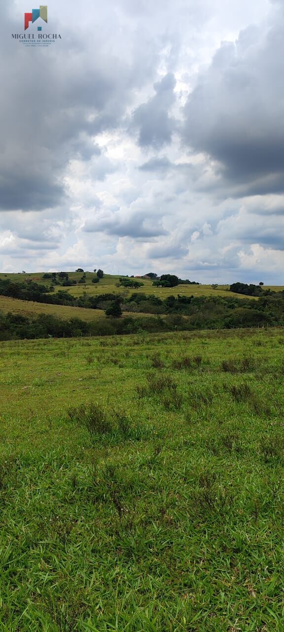 Sítio a venda Itapetininga SP - foto 29