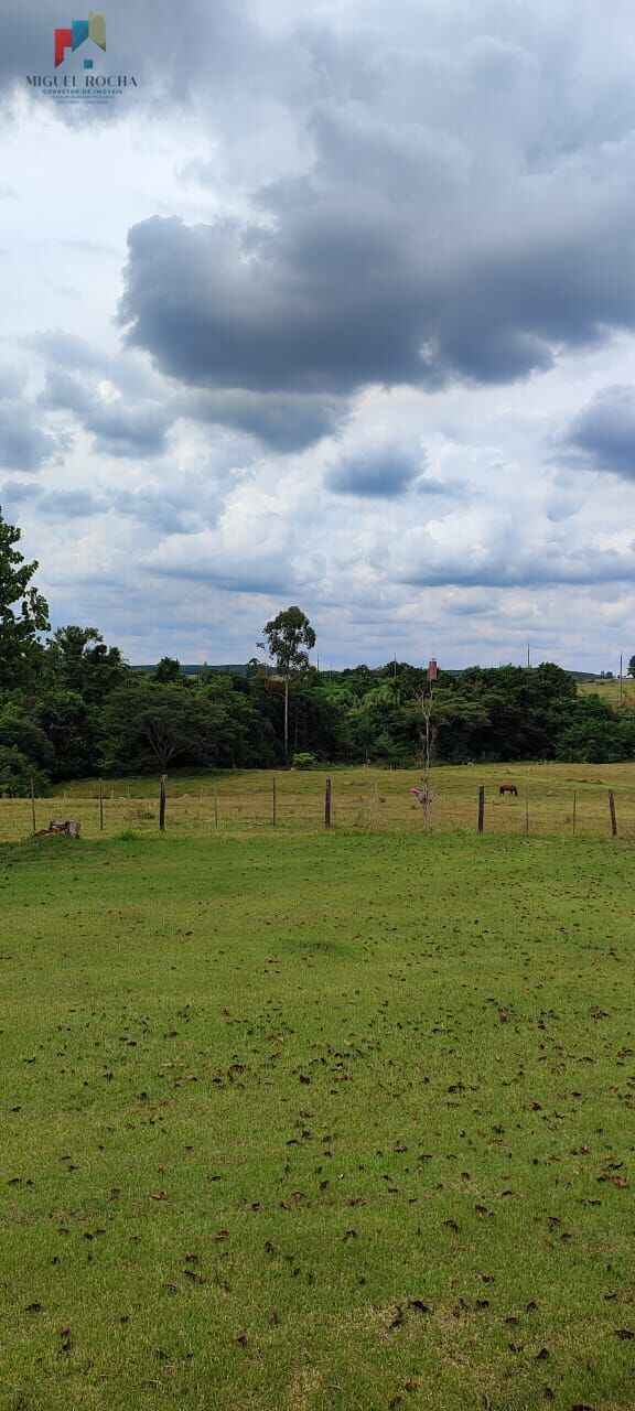 Sítio a venda Itapetininga SP - foto 25