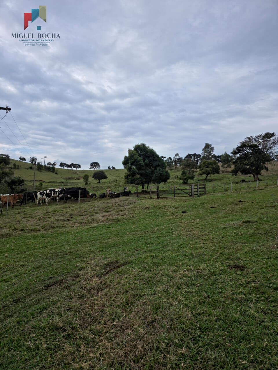 Sítio em Centro, Pardinho/SP