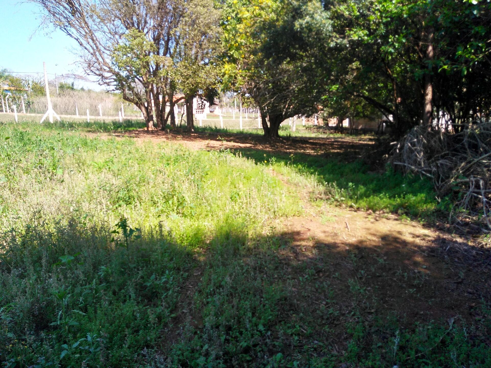 Chacara-para-Venda-em-Mirandas-Tatui-SP - foto 9