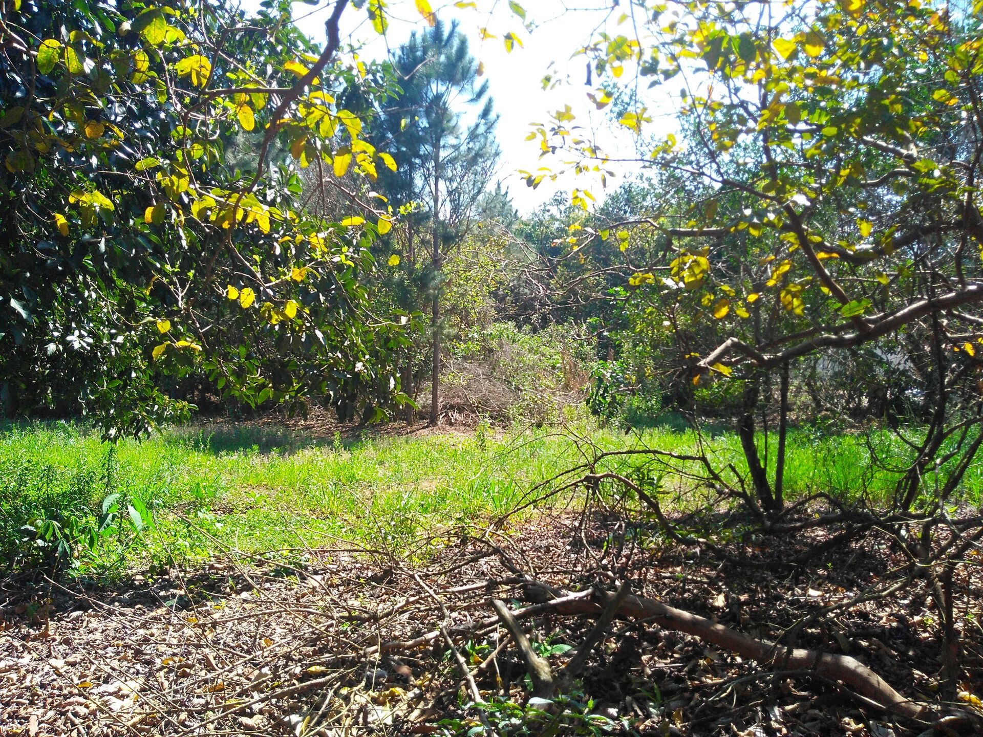 Chacara-para-Venda-em-Mirandas-Tatui-SP - foto 6