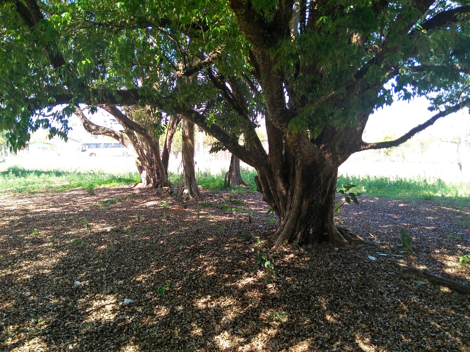 Chacara-para-Venda-em-Mirandas-Tatui-SP - foto 10