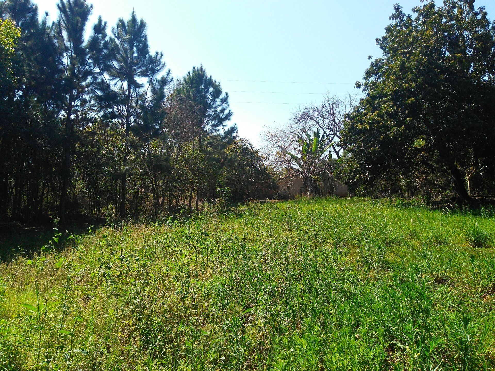 Chacara-para-Venda-em-Mirandas-Tatui-SP - foto 4