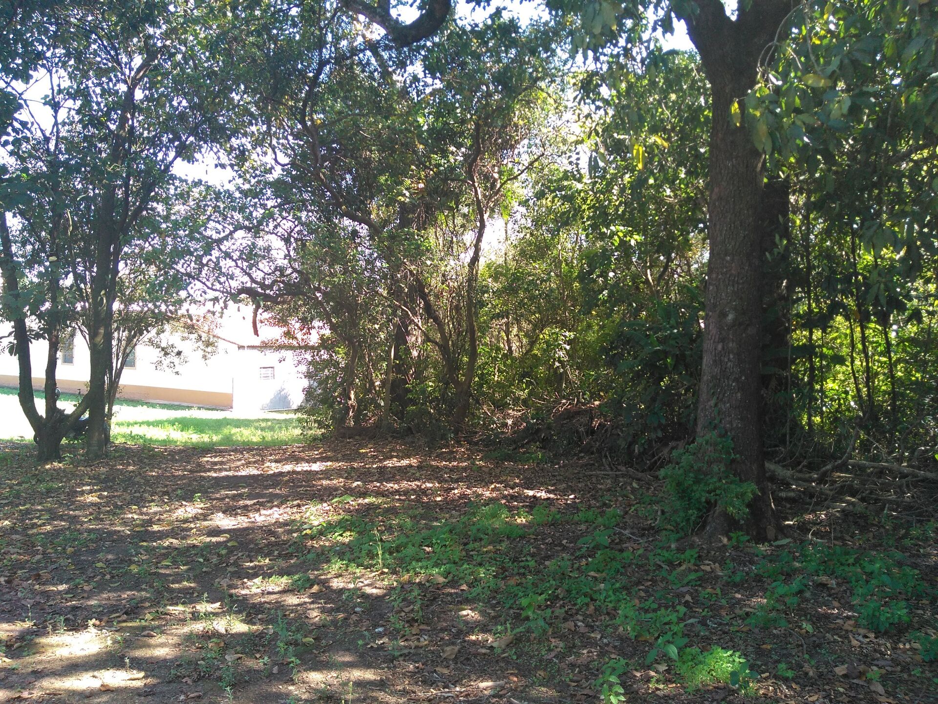 Chacara-para-Venda-em-Mirandas-Tatui-SP - foto 3