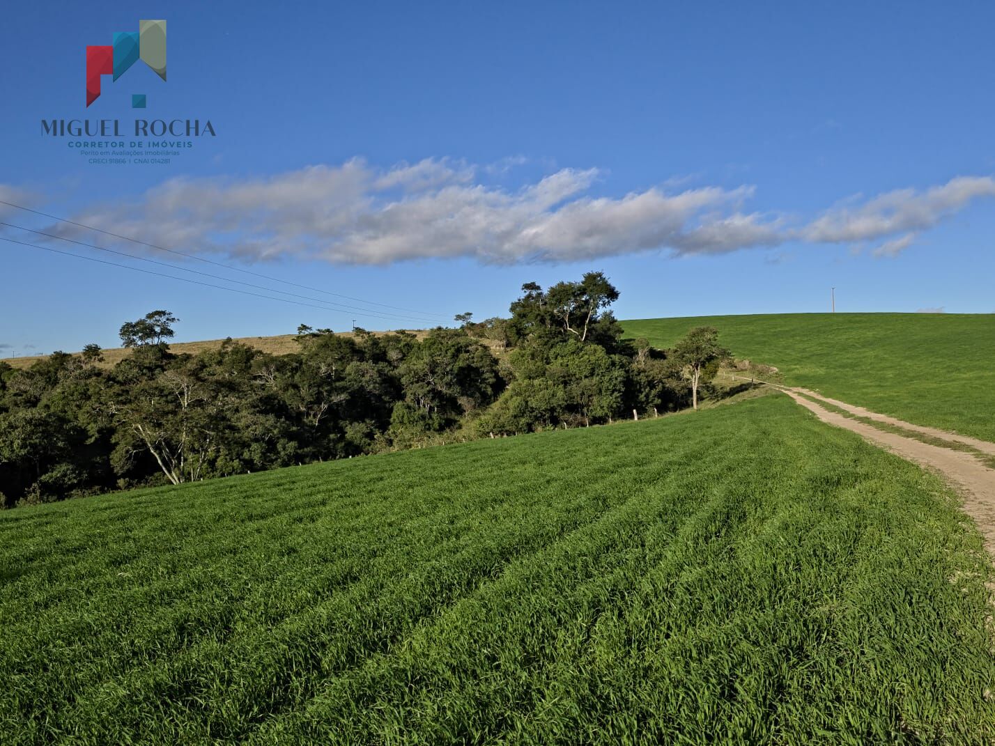 Fazenda em Itapetininga SP - foto 22