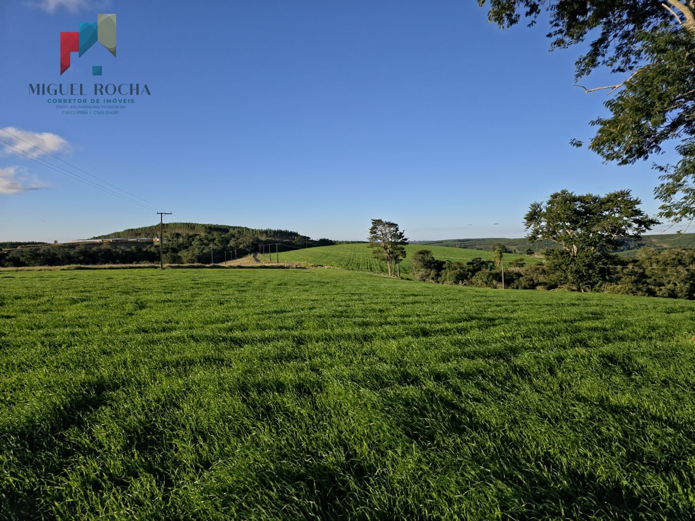 Fazenda em Itapetininga SP - foto 20