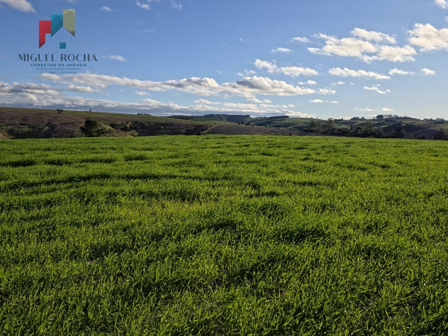 Fazenda em Itapetininga SP - foto 18