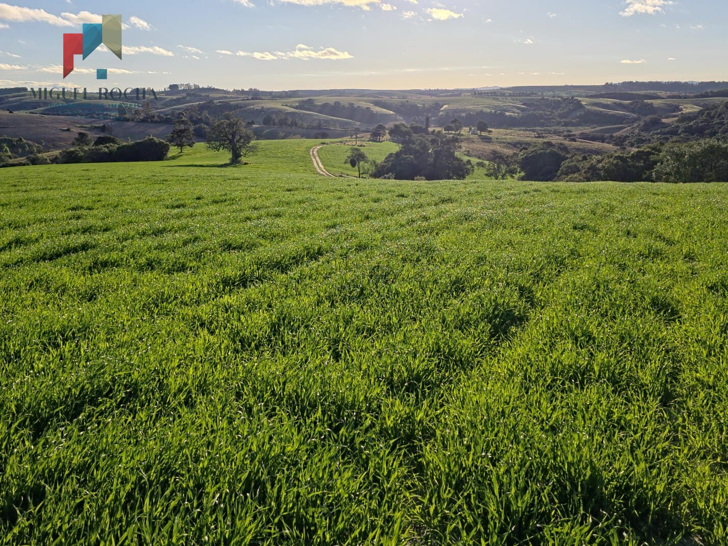 Fazenda em Itapetininga SP - foto 21