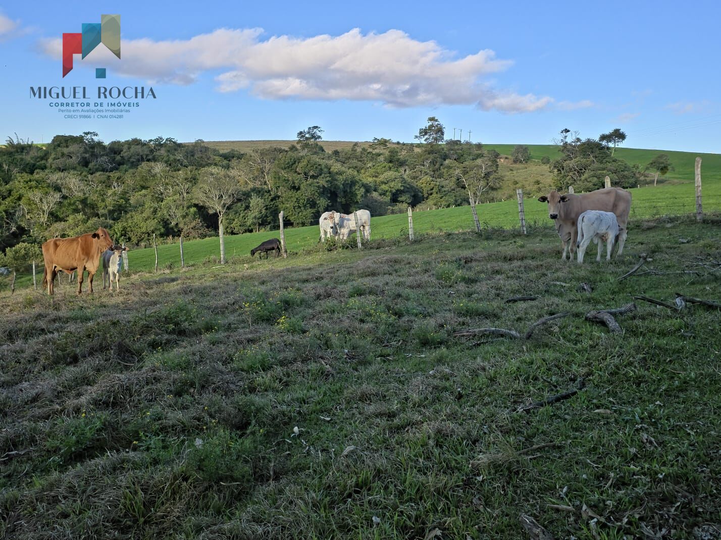 Fazenda em Itapetininga SP - foto 14