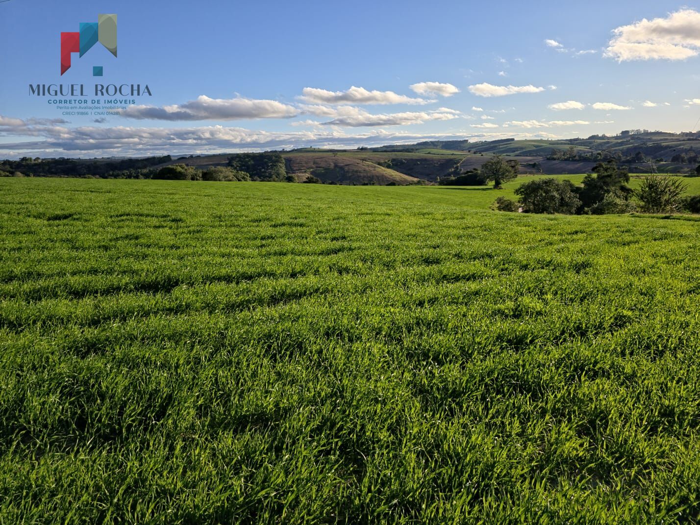 Fazenda em Itapetininga SP - foto 16