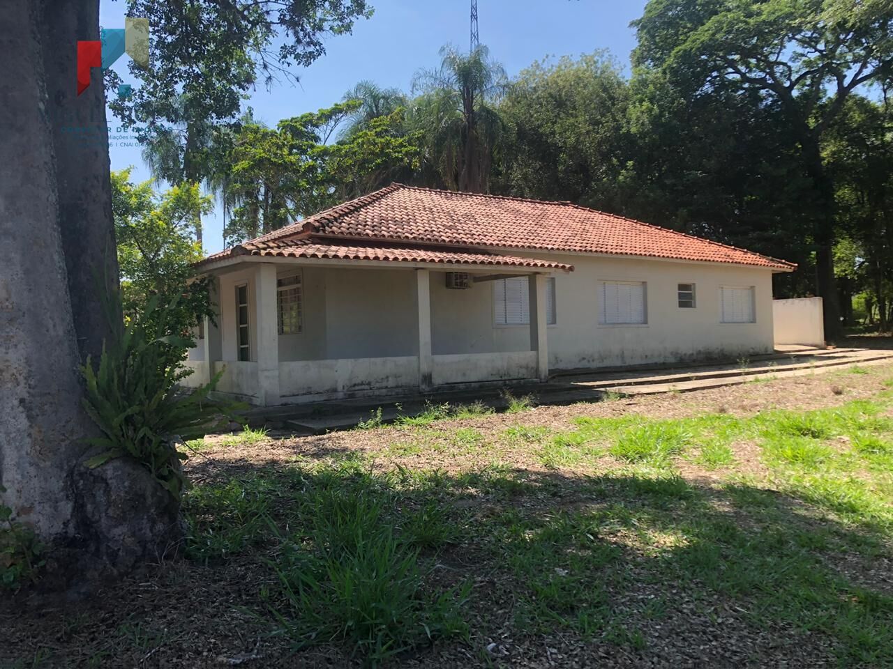 Fazenda região de Itapetininga SP - foto 5