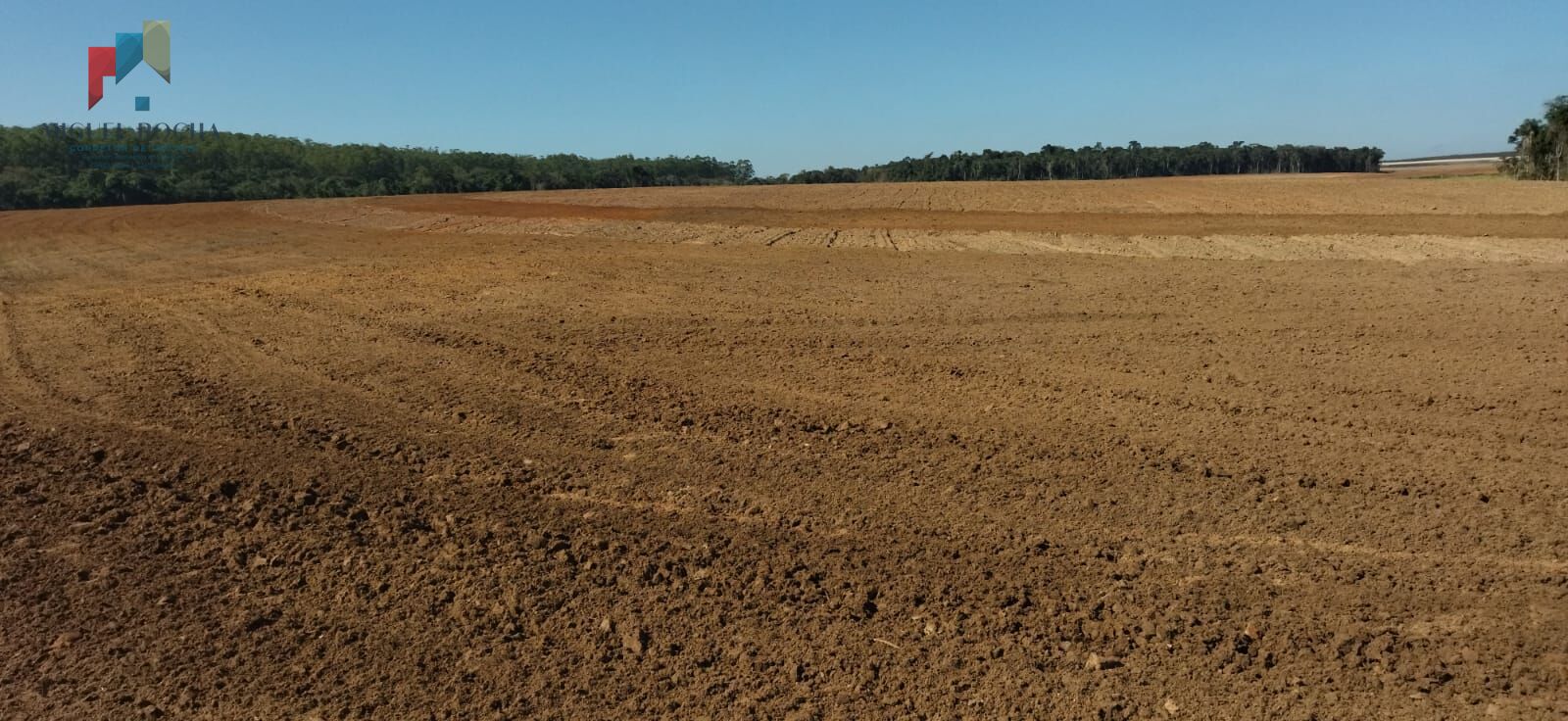 Fazenda região de Itapetininga SP - foto 2