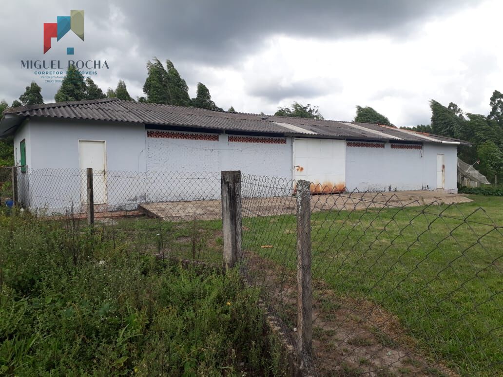 Fazenda região de Itapetininga SP - foto 6