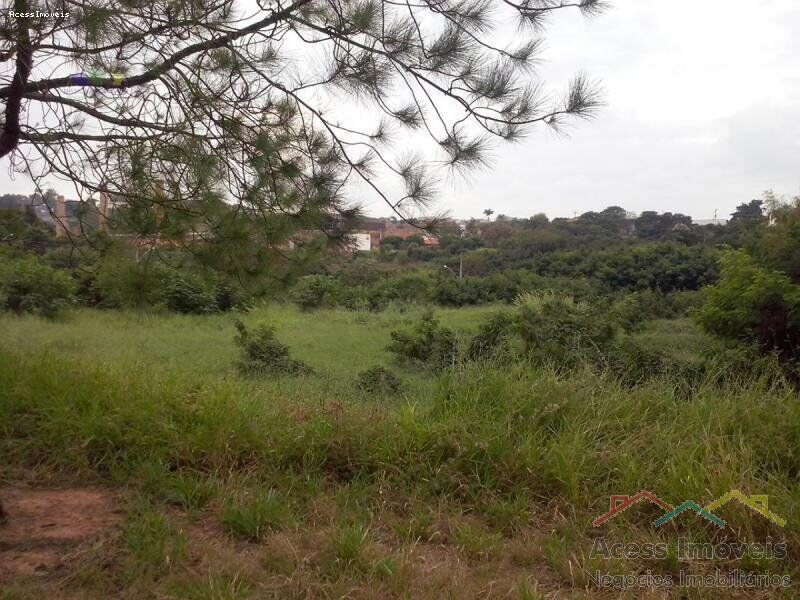 Terreno-Lote-para-Venda-em-Jardim-San-Raphael-Tatui-SP - foto 3
