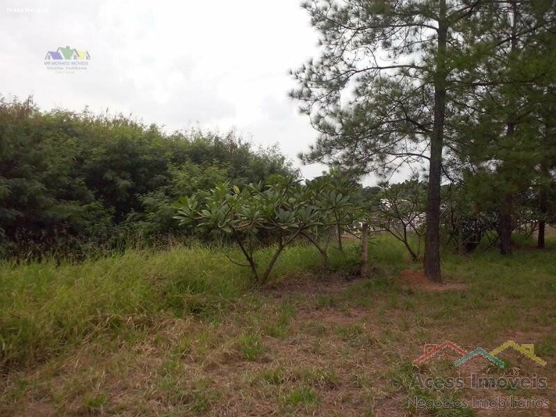 Terreno-Lote-para-Venda-em-Jardim-San-Raphael-Tatui-SP - foto 7