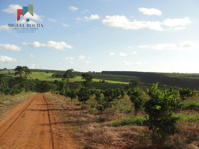 Fazenda região de Itapetininga SP