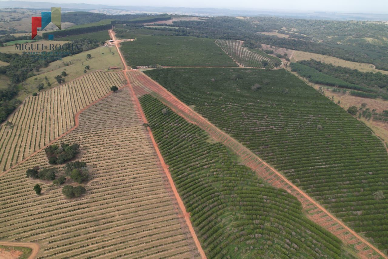 Fazenda região de Itapetininga SP