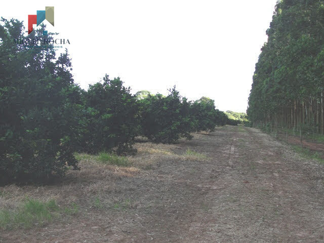 Fazenda região de Itapetininga SP