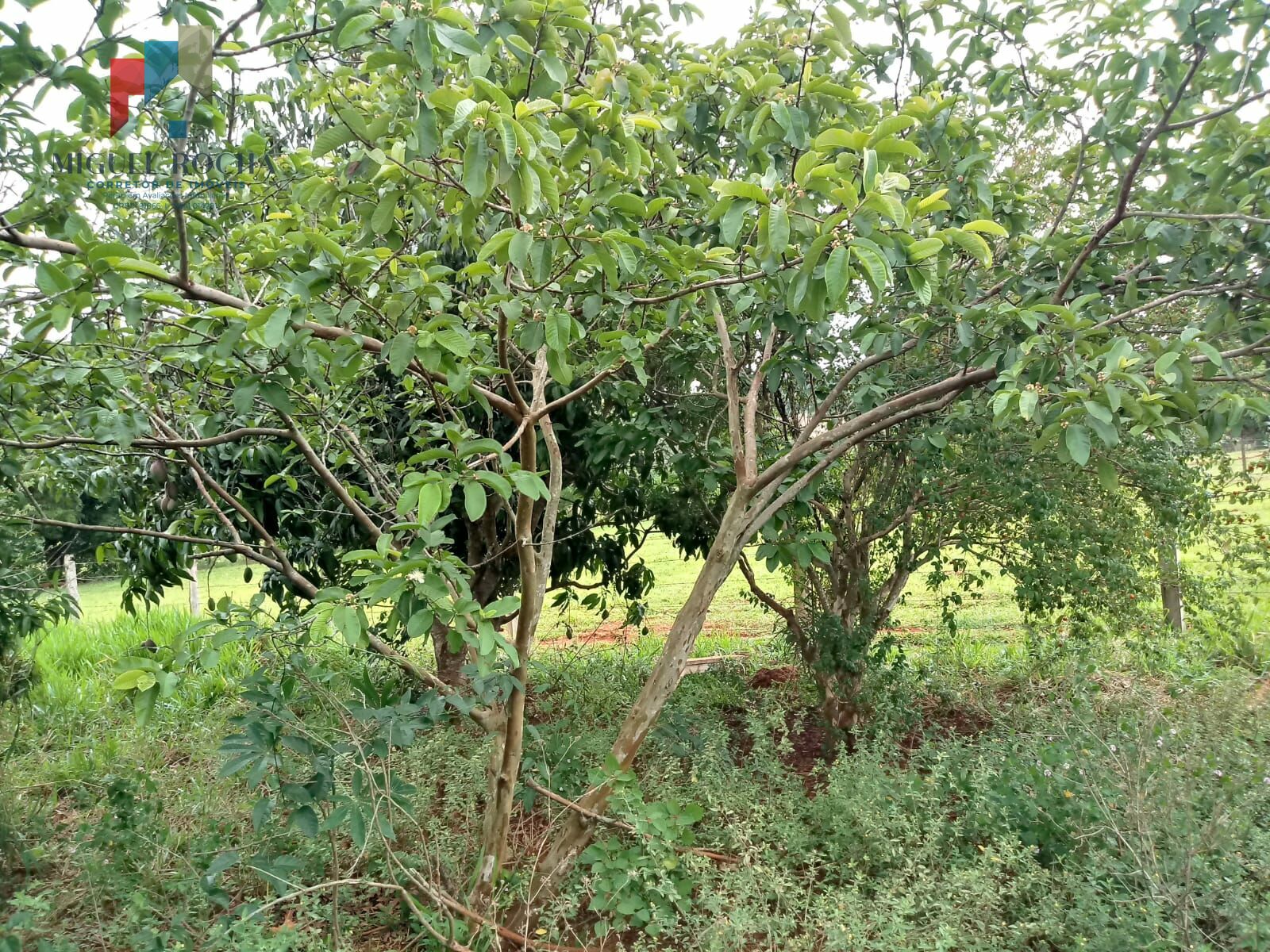 Terreno à venda no bairro bairro turvo - Tatuí/SP - foto 12