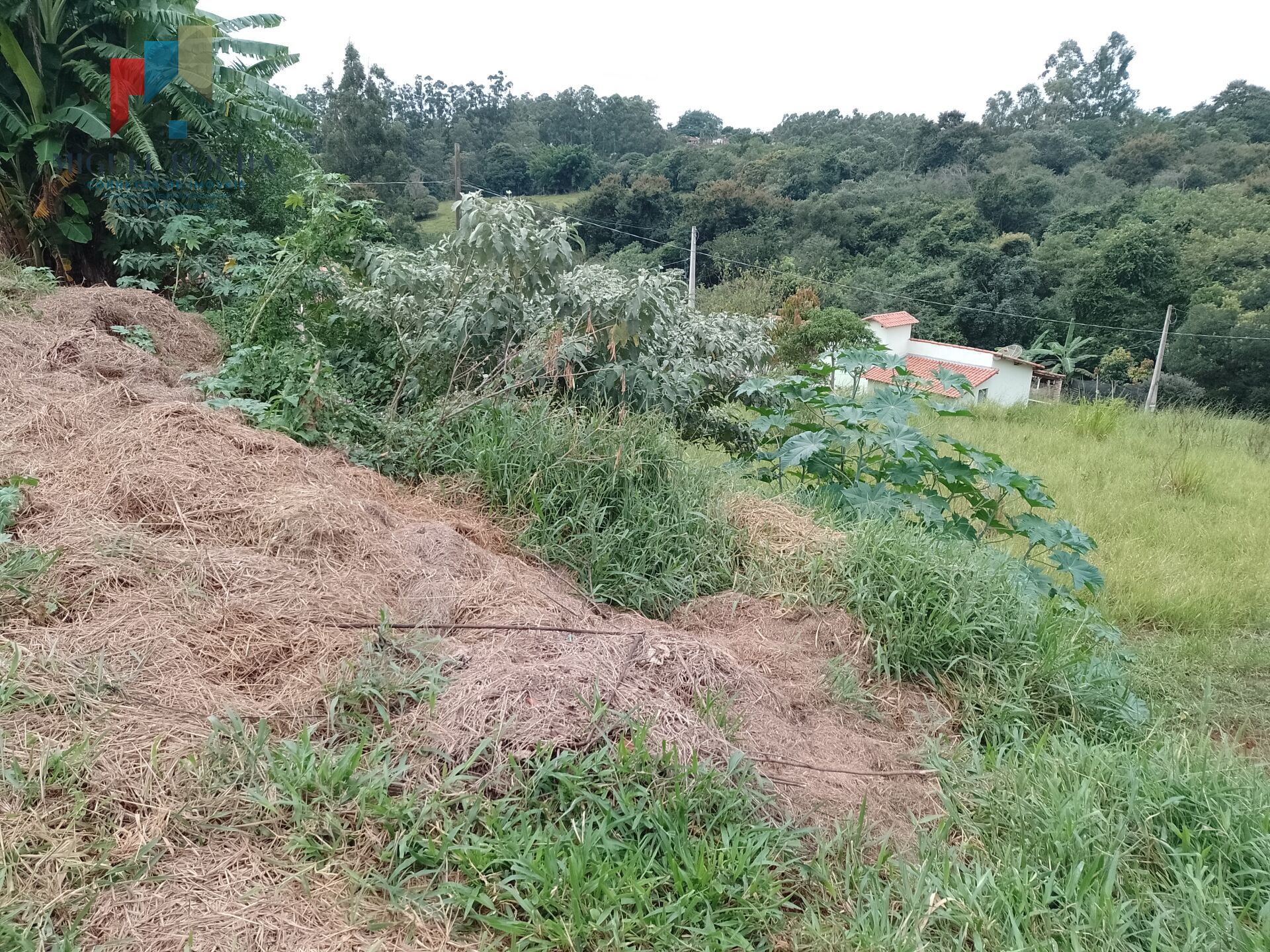 Terreno à venda no bairro Bairro Dos Souza - Tatuí/SP - foto 9