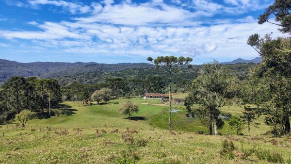 O que faz uma propriedade rural da Serra Catarinense valer mais?