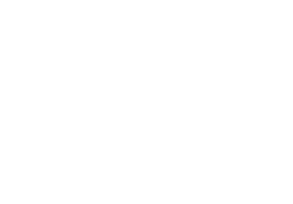 Angelo Henrique Silva