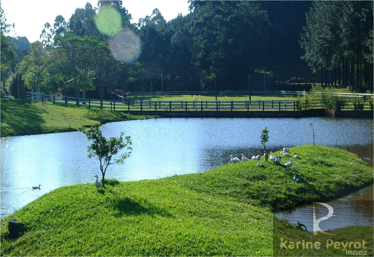 Terreno, 1000 m² - Foto 47