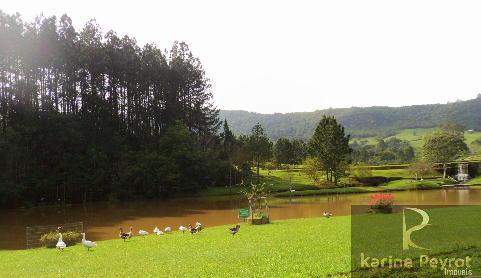 Terreno, 1000 m² - Foto 13