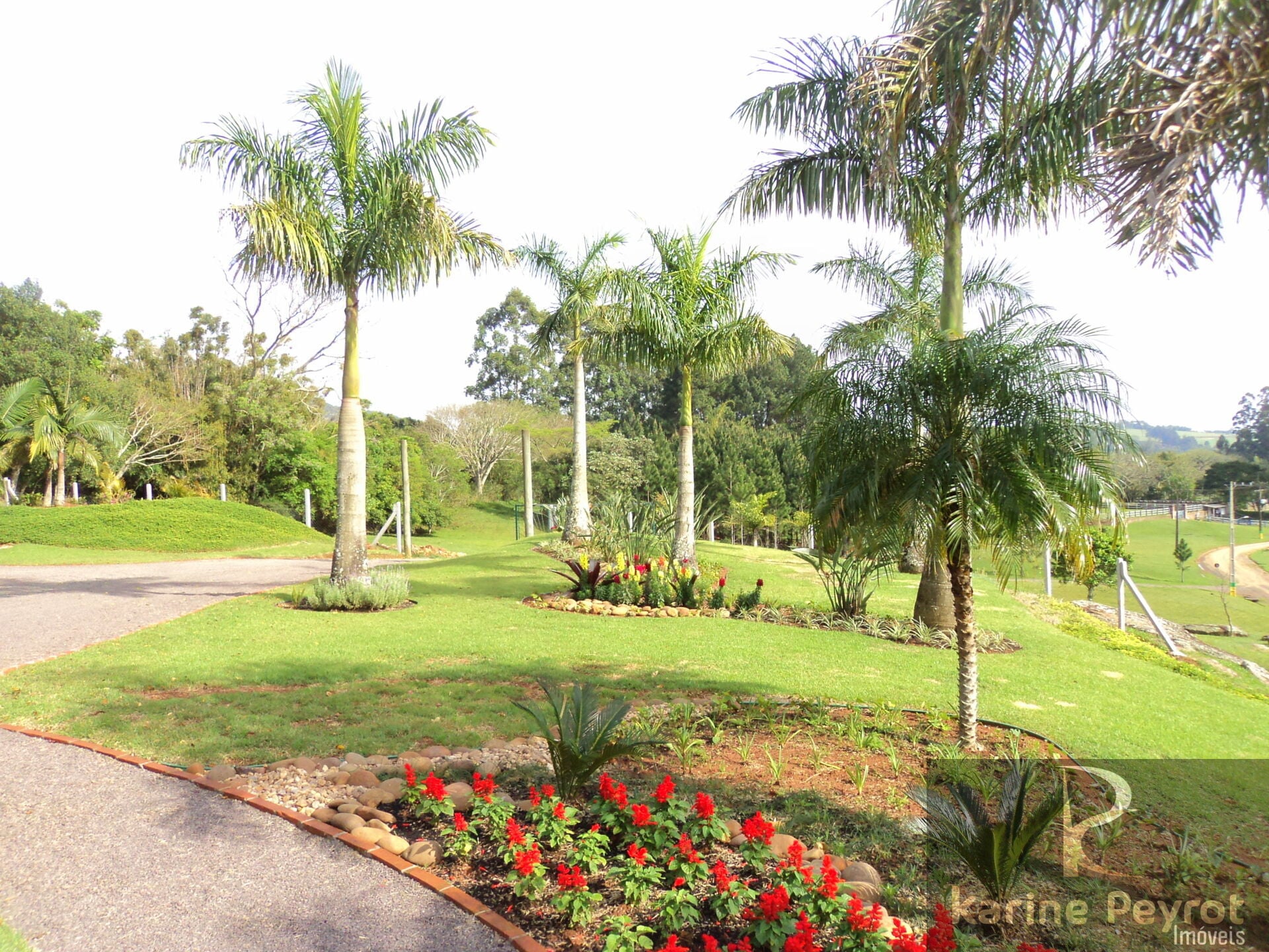 Terreno, 1000 m² - Foto 6