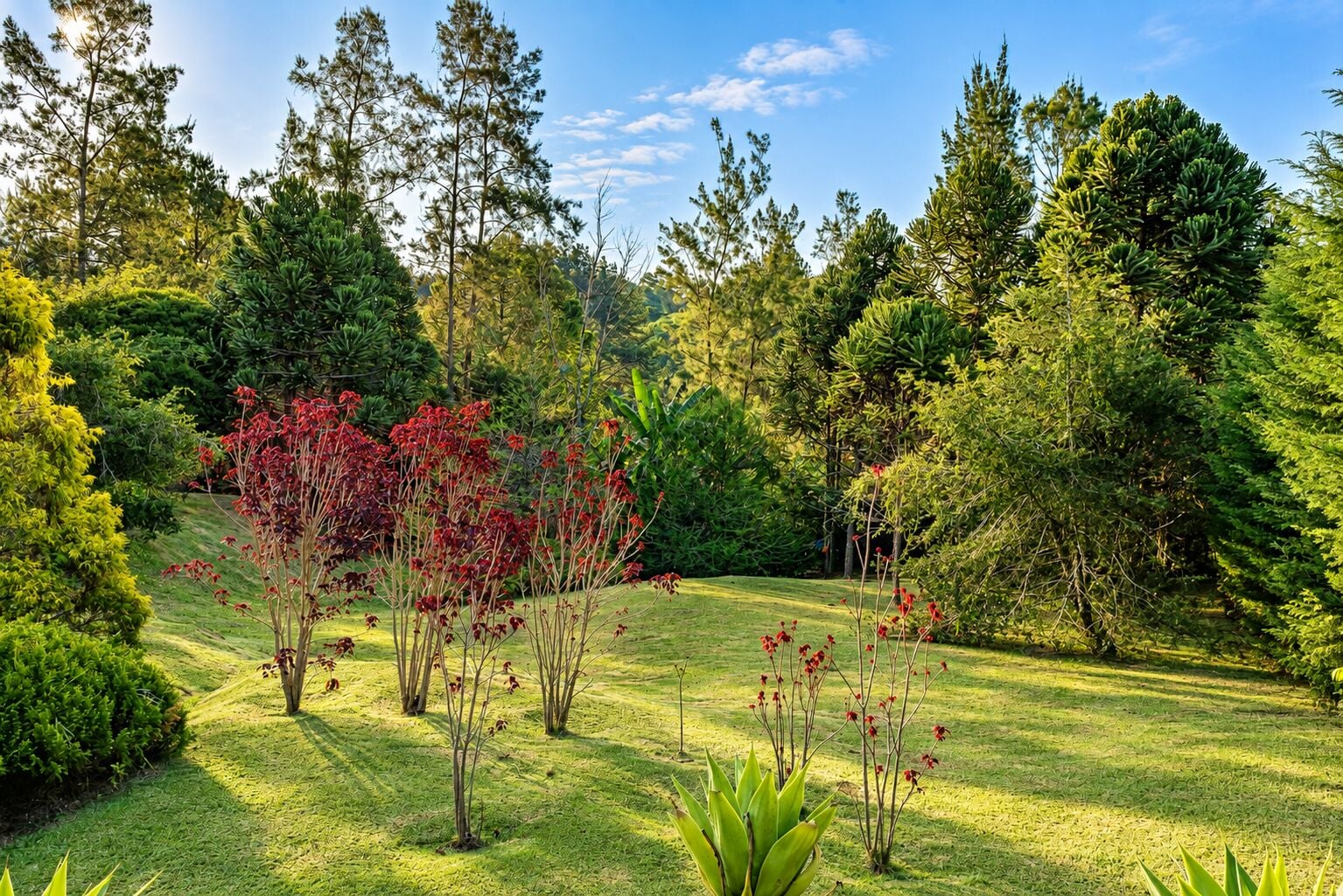 Casa, 4 quartos, 397 m² - Foto 12