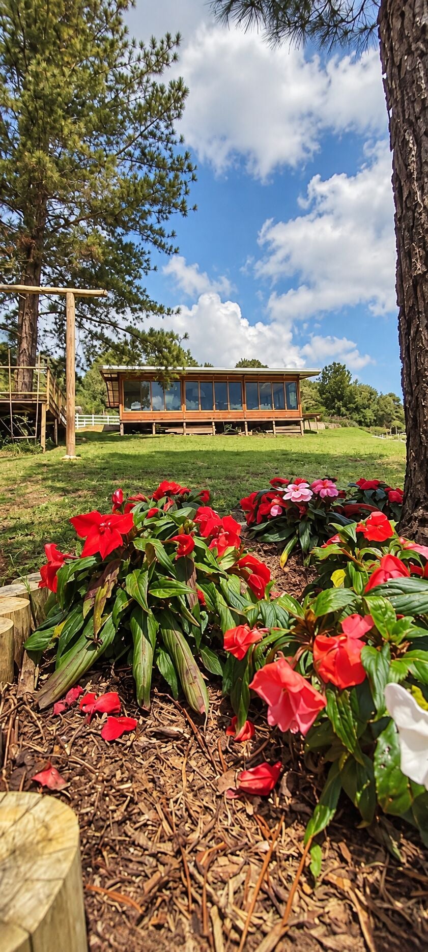 Casa, 2 quartos, 115 m² - Foto 2