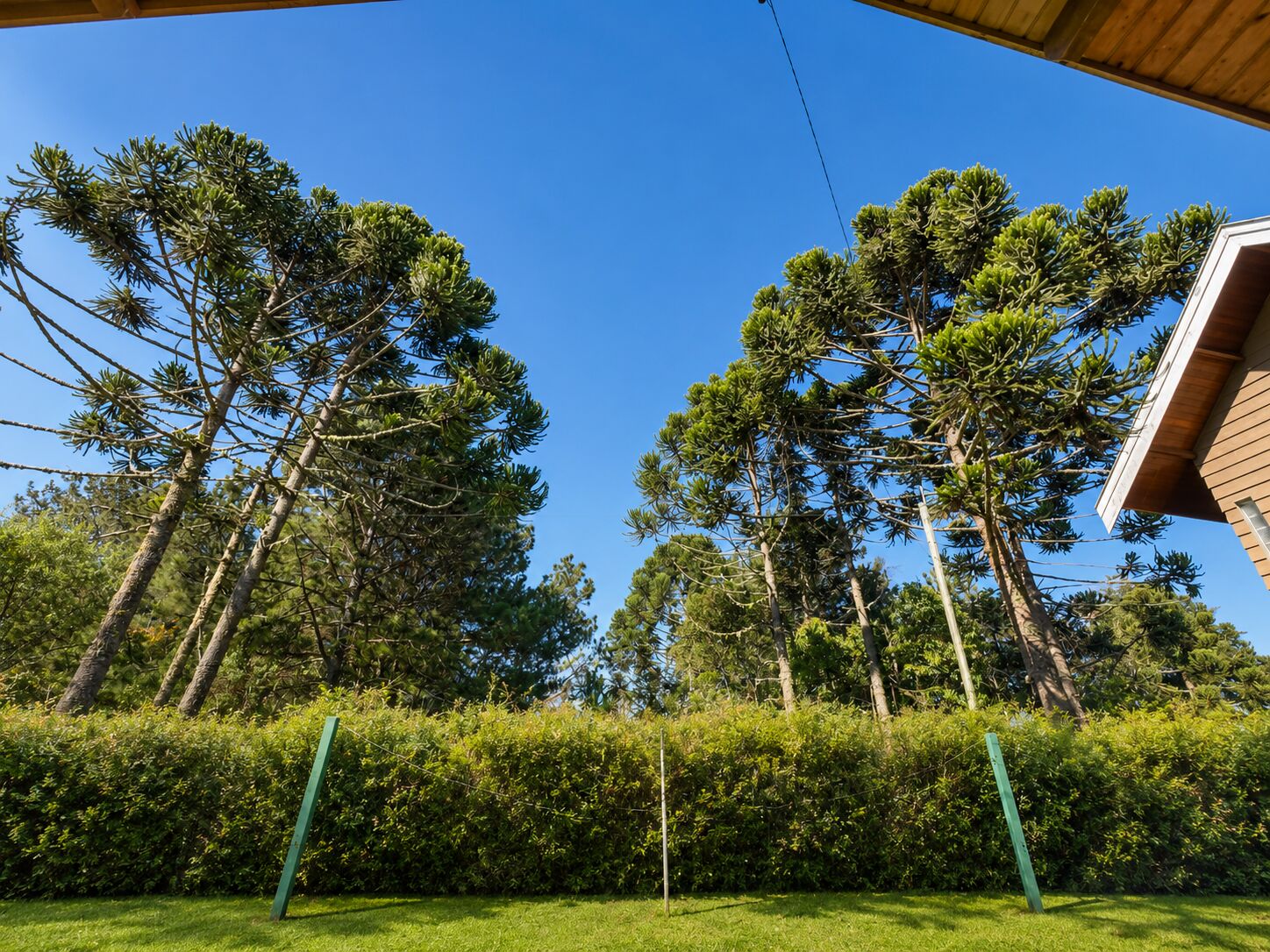 Casa, 2 quartos, 150 m² - Foto 4