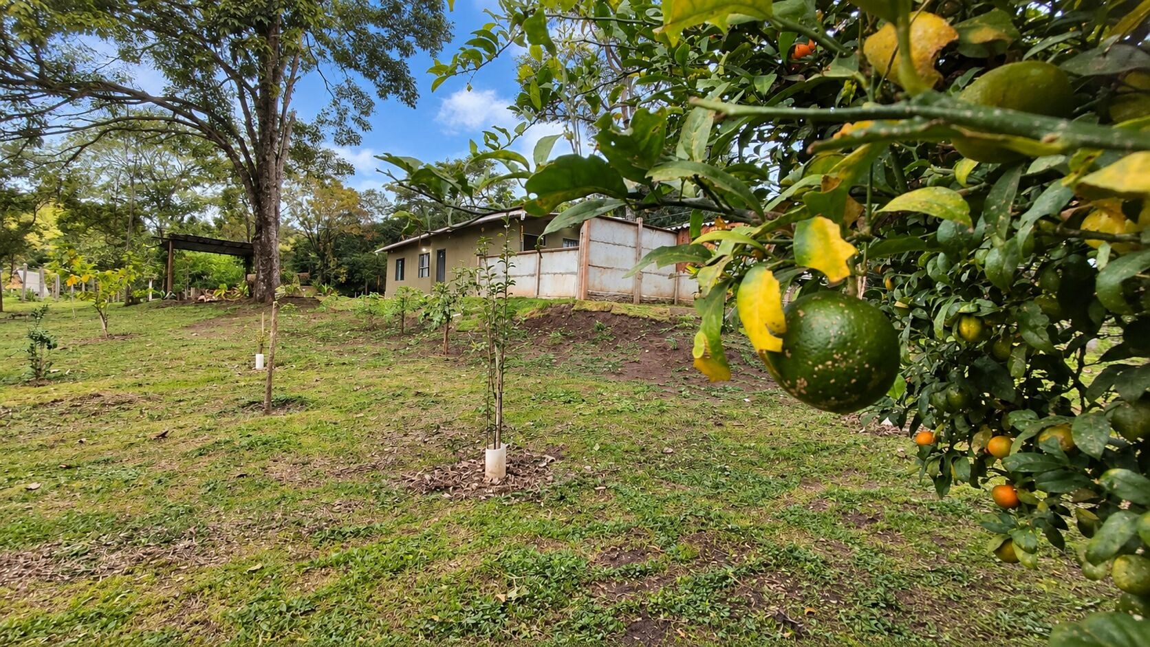 Chácara, 1 quarto, 1200 m² - Foto 5