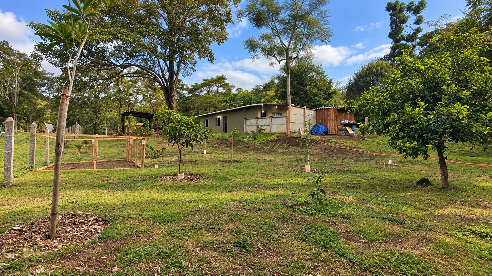 Chácara, 1 quarto, 1200 m² - Foto 3