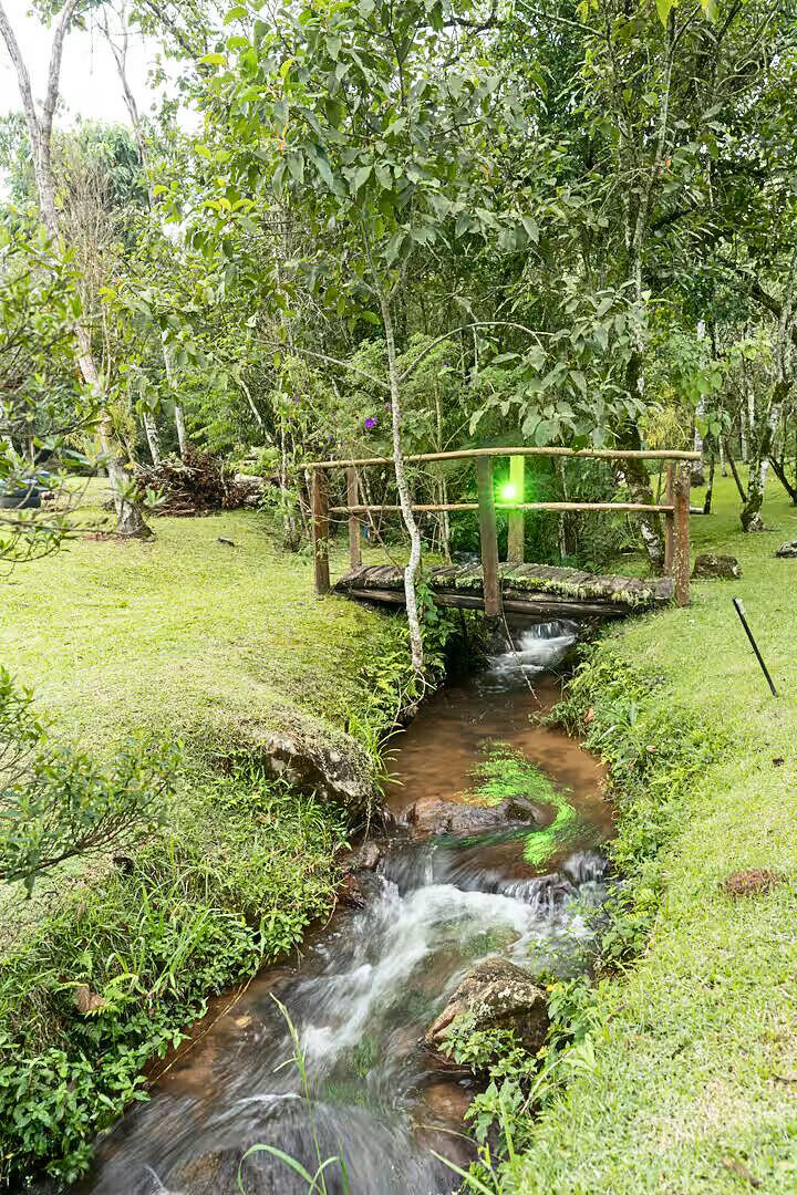 Chácara, 6 quartos, 8000 m² - Foto 18