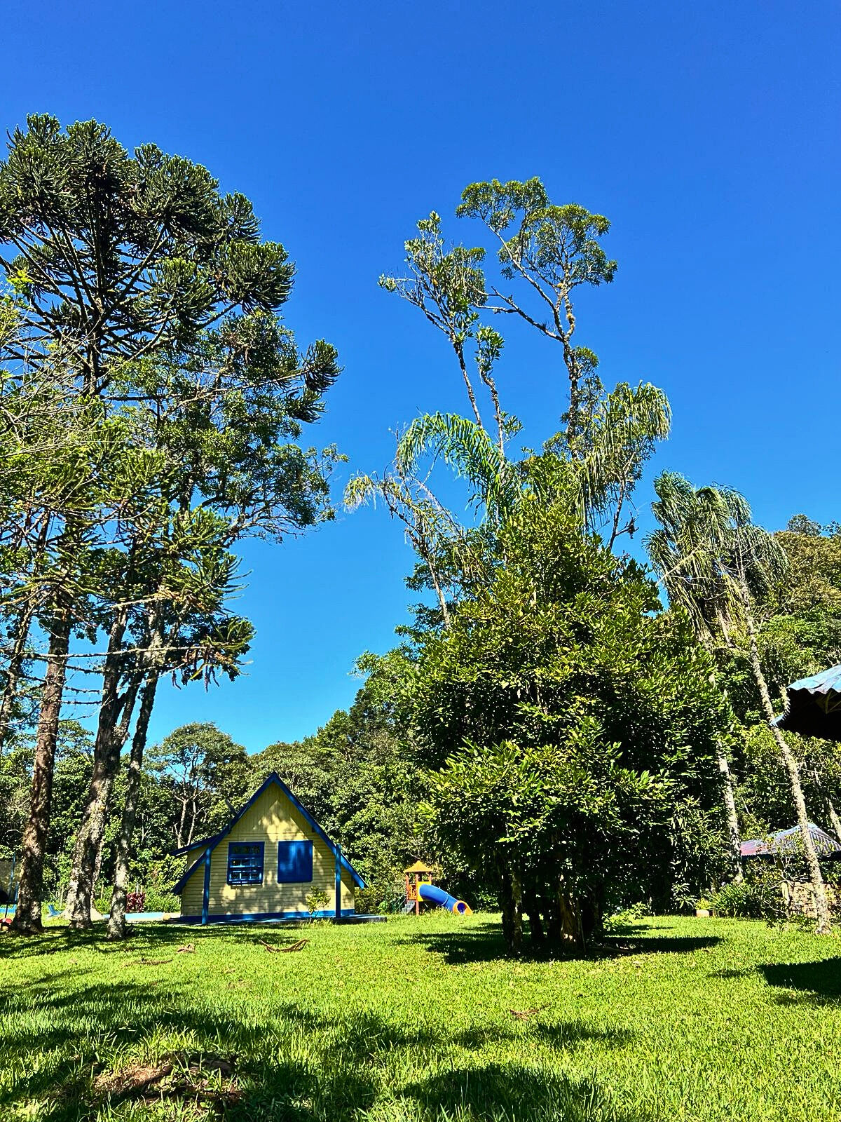 Chácara, 6 quartos, 8000 m² - Foto 11
