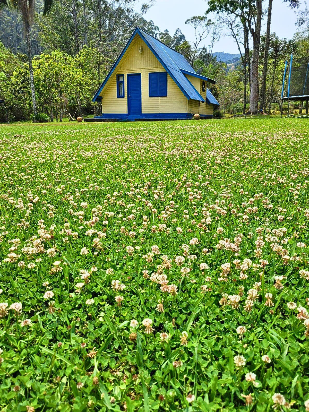 Chácara, 6 quartos, 8000 m² - Foto 6