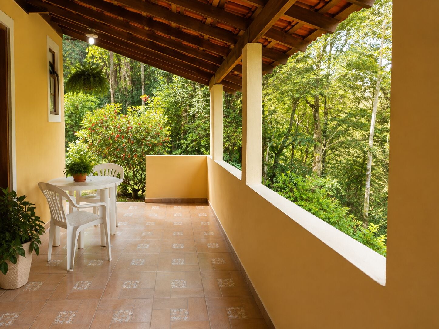 Sítio, 3 quartos, 1000 m² - Foto 4