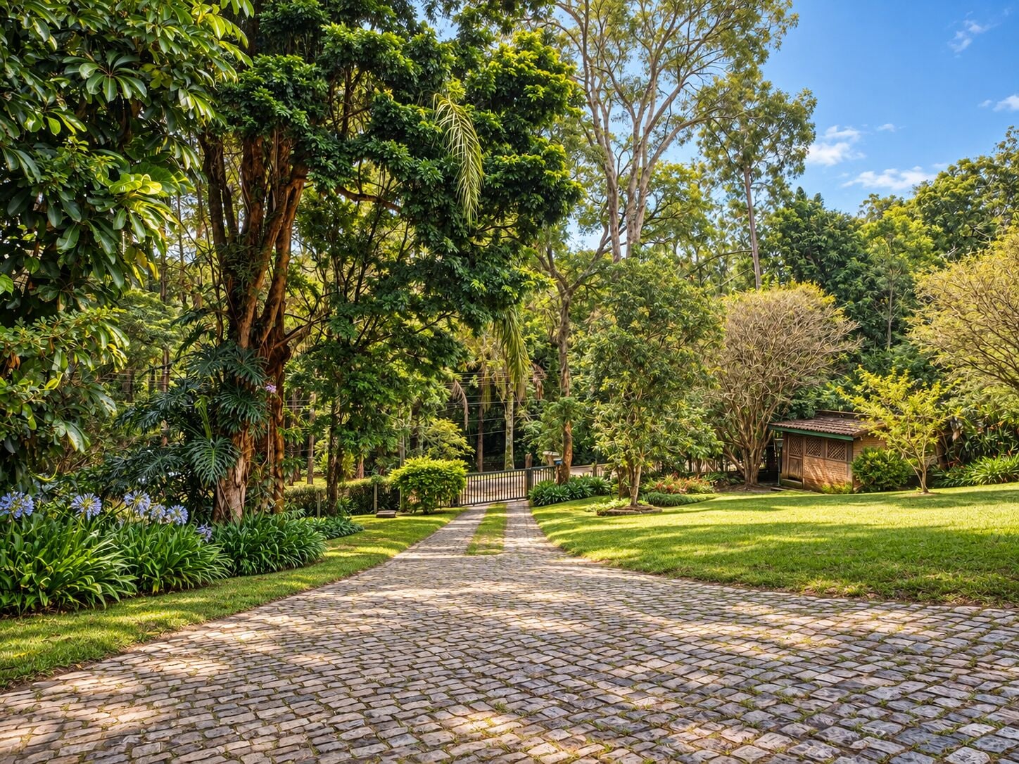 Casa, 4 quartos, 603 m² - Foto 6