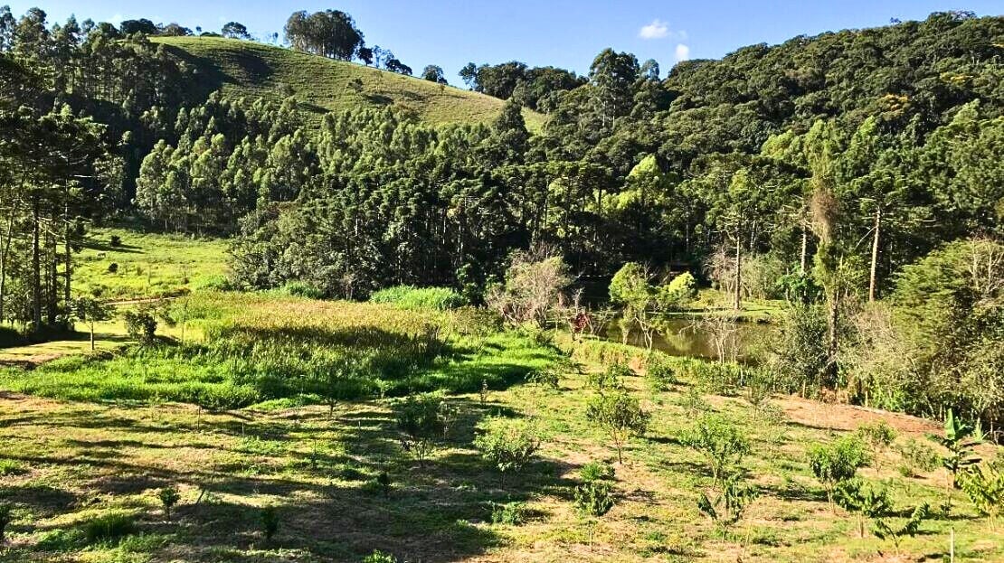 Chácara, 3 quartos, 2 hectares - Foto 32